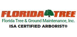 Florida Tree & Ground Maintenance.